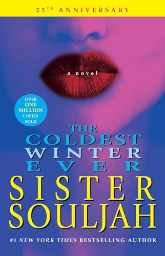 The Coldest Winter Ever: A Novel
