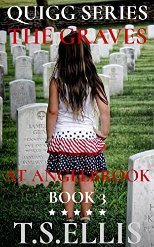 The Graves at Angel Brook book cover