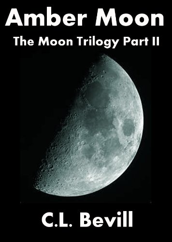 Amber Moon book cover