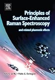 Principles Of Surfaceenhanced Raman Spectroscopy And Related Plasmonic Effects English Edition
