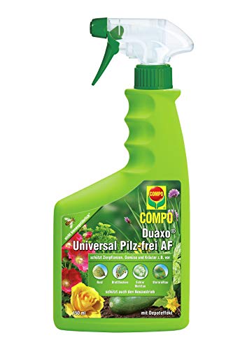 (-38%) Compo Duaxo Universal Pilz-frei AF, Fungizid, Bekämpfung von Pilzkrankheiten an Zierpflanzen, Gemüse und Kräutern, Anwendungsfertig, 750 ml