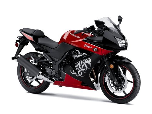 Ninja Two-Fifty cover