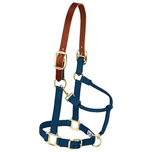 Weaver Leather Nylon Adjustable Breakaway Horse Halter, Small, Navy