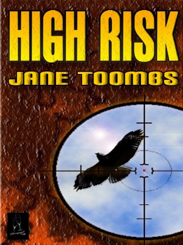 High Risk book cover