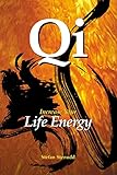 Qi Increase Your Life Energy English Edition