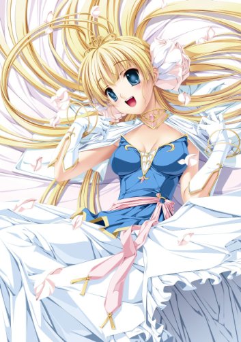 PSPのアドベンチャー・ゲーム人気投票 ~ プレイステーション・ポータブルADVランキング 253位 Princess Frontier Portableの画像