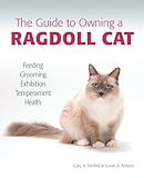 The Guide To Owning A Ragdoll Cat
