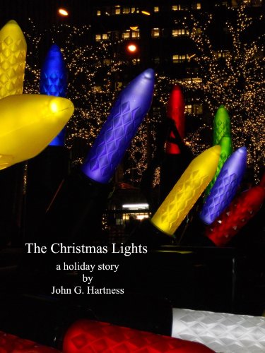 The Christmas Lights book cover