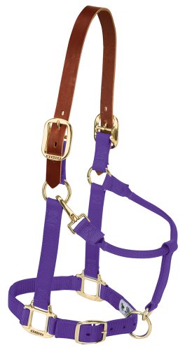 Weaver Leather Nylon Adjustable Breakaway Horse Halter, Small, Purple