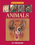 Drawing In Color Animals English Edition