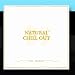 Song Liebestraum by Paul Mauriat on Natural Chill Out at Amazon