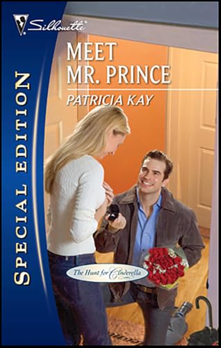 Meet Mr. Prince book cover