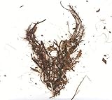 album / discography