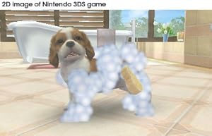 Nintendogs Retriever