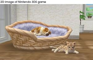 Nintendogs Retriever