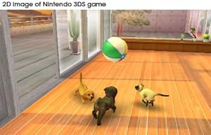 Nintendogs Retriever
