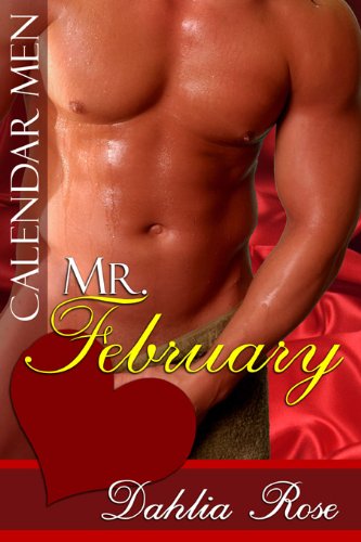 Mr. February book cover