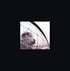 vs. & Vitalogy 3 CD Deluxe Edition (Featuring Live At The Orpheum, Boston MA)