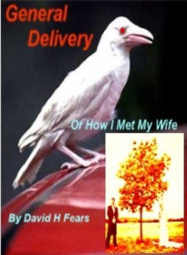 General Delivery, Back from 'Nam book cover