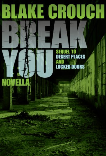 Break You book cover
