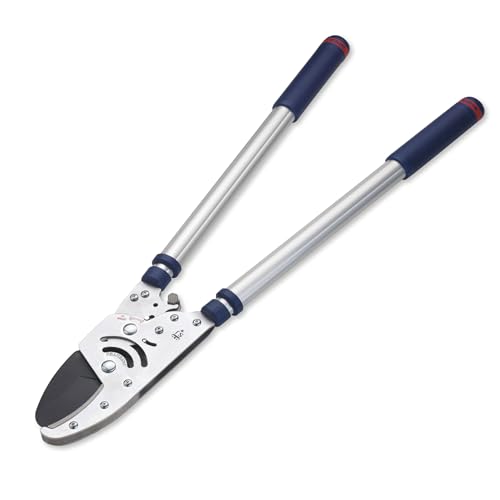 Spear &amp; Jackson 8290RS Razorsharp Heavy Duty Telescopic Ratchet Anvil Loppers, Extendable 40 1/2" Handles, Idea