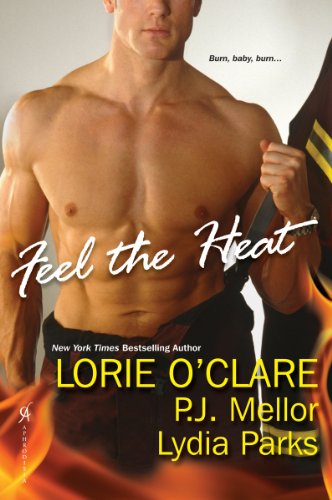 Feel the Heat book cover