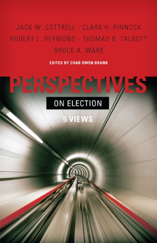 Perspectives on Election book cover