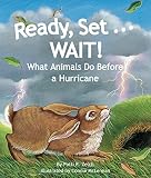 Ready Set Wait What Animals Do Before A Hurricane English Edition
