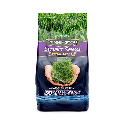 Pennington Smart Seed Dense Shade Grass Seed, 3 lb