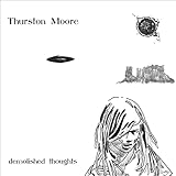 Demolished Thoughts (2011)