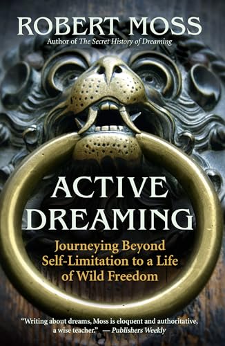 Active Dreaming cover