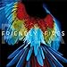 Song Pull Me Back To Earth by Friendly Fires on Pala(Friendly Fires) at Amazon