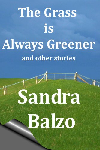 Viscery book cover
