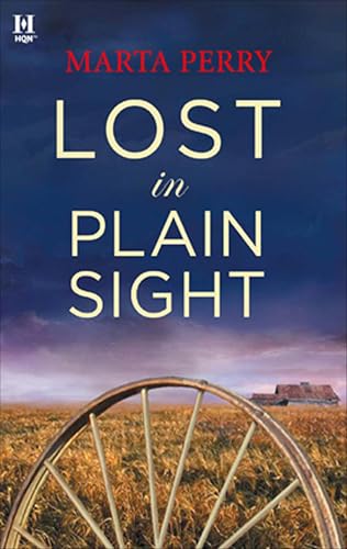 Lost in Plain Sight cover