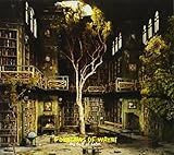 Sky Full Of Holes (2011)