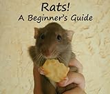 Rats A Beginners Guide English Edition