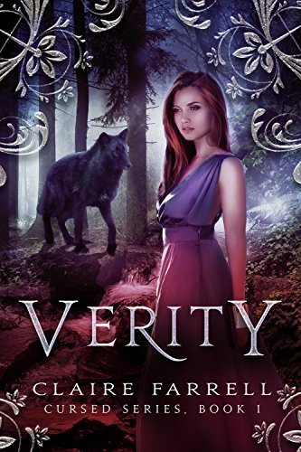 Verity book cover