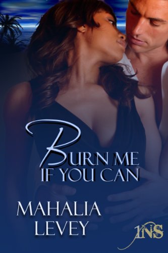 Burn Me if You Can book cover