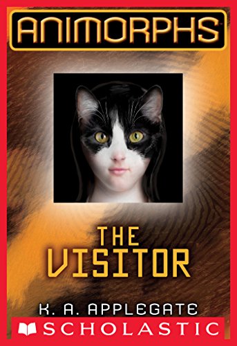 The Visitor book cover