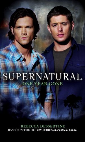 One Year Gone book cover