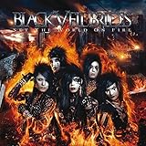 Set the World on Fire