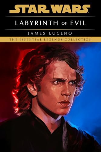 Labyrinth of Evil book cover