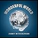 Song Walking On A Tightrope by Jimmy Witherspoon on Wonderful World at Amazon