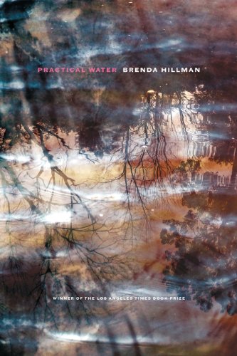 Practical Water (By: Brenda Hillman) cover