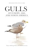 Gulls Of Europe Asia And North America Helm Identification Guides English Edition