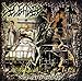 Song Kindred Assembly by Deceased on Surreal Overdose at Amazon
