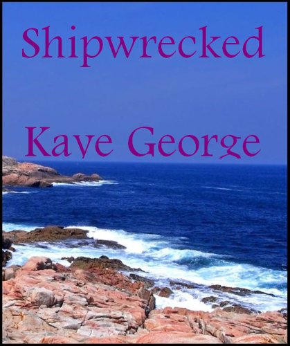 Shipwreck book cover