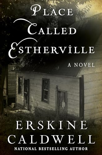 Place Called Estherville book cover