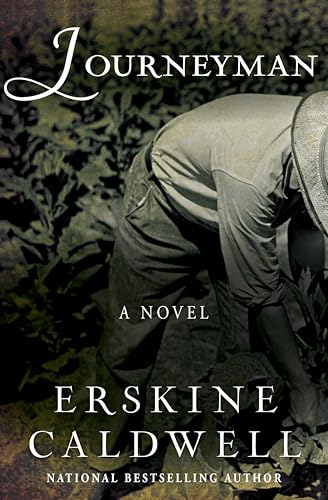 Journeyman book cover
