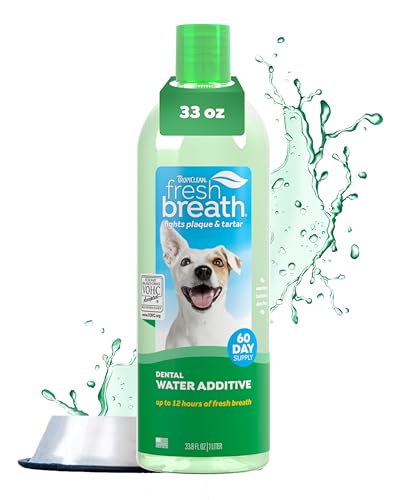 Best Dog Dental Water Additives That Actually Freshen Breath (2026)